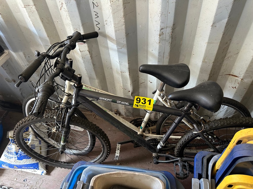 Lot 931