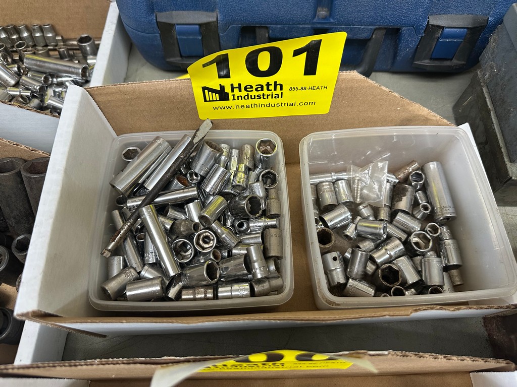 Lot 101
