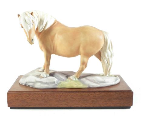 Royal Worcester Shetland Pony, modelled by B. Winskill, No.24 with wood base. 22cm high including base.Condition report: No d