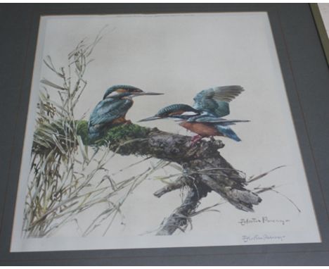 A DECORATIVE PRINT OF KINGFISHERS , after Edwin Penny, signed in pencil in the margin together with a print of elephants by D