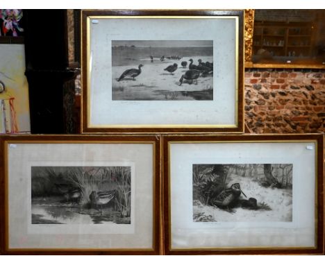 A set of five Archibald Thorburn prints published by Lawrences for the Swan Electric Company, featuring water fowl, five penc