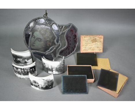 Collection of 33 quarter-plate photographic negatives - mostly topographical views but also horse-drawn fire engine with crew