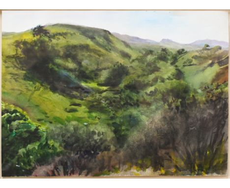 Howard Morgan (1949-2020) - A verdant Welsh landscape, watercolour, unsigned, 27.5 x 38 cm