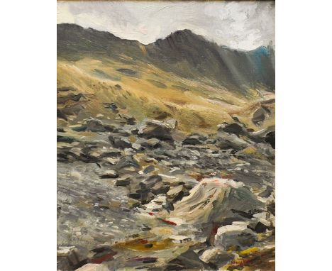 Howard Morgan (1949-2020) - Rugged Welsh mountain landscape, oil on canvas, signed lower right, 40 x 32 cm