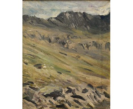 Howard Morgan (1949-2020) - A rugged Welsh landscape, oil on canvas, signed lower right and dated '98, 39 x 32 cm