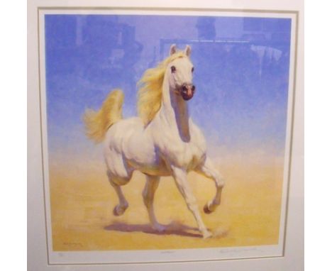 Frederick Haycock - limited edition print 20/395 of white horse in desert 'Sand Dancer' - 58 x 60cm - signed