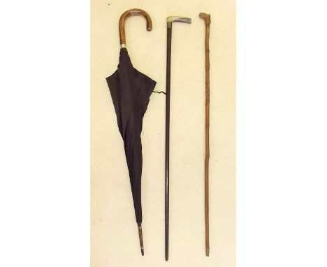 A horn handled cane, a gents umbrella and another walking stick