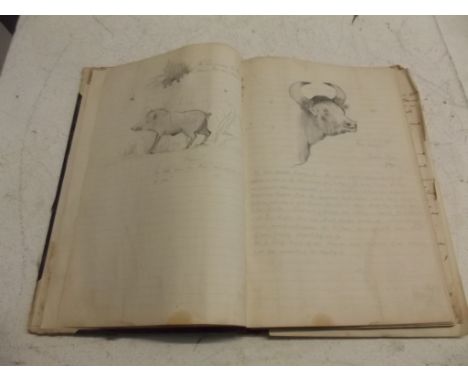 'ELEPHANT' BILL WILLIAMS. important manuscript combined diary & nature notes in Burma 1920-1922, 128 pages, many original pen