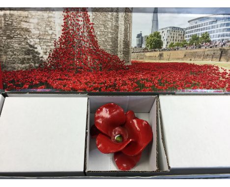 Ceramic Poppy by Paul Cummins from the Tower of London Art instalation "Blood Swept Lands and Seas of Red" 5th Aug to 11th No