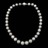 Single strand graduating Tahitian pearl necklace