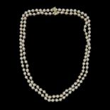 Single strand cultured pink / white pearl necklace