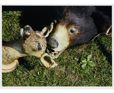 Cornelia Parker OBE RA, British b.1956- Political Abstract (Doe &amp; Bear), 2012; C-type print in colours on photo paper,sig