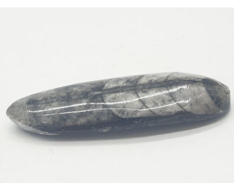 Ammonite stone with prehistoric fossil, weight 10g and 5cm 