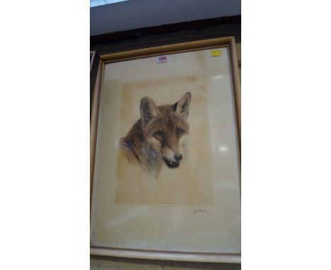 European School, a red fox, indistinctly signed, colour print, pl.34.5 x 25cm.