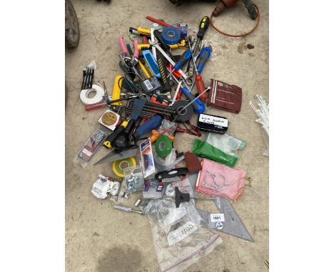 A MIXED LOT OF LOOSE TOOLS 