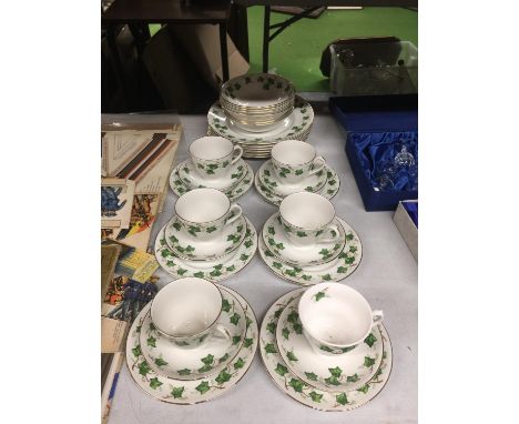 A VINTAGE COLCLOUGH IVY PATTERNED TEASET TO INCLUDE PLATES, BOWLS, CUPS, SAUCERS AND SIDE PLATES 