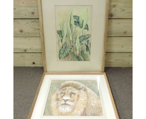 Rosalie Brill, 20th century, portrait of a lion, pastel, 37 x 37cm, together with another by the same hand