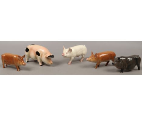 Five collectable ceramic models of pigs, three by Beswick also Royal Doulton and Goebel examples