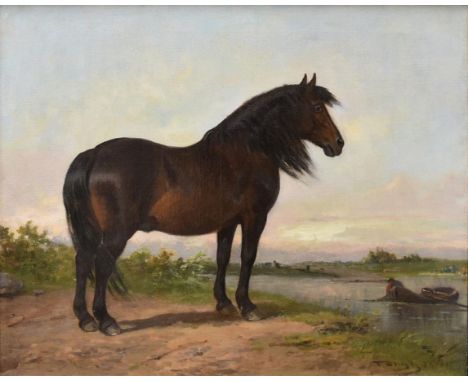 A late 19th century framed oil on canvas, horse portrait, probably Flemish, indistinctly signed. H.68 W.81cm 