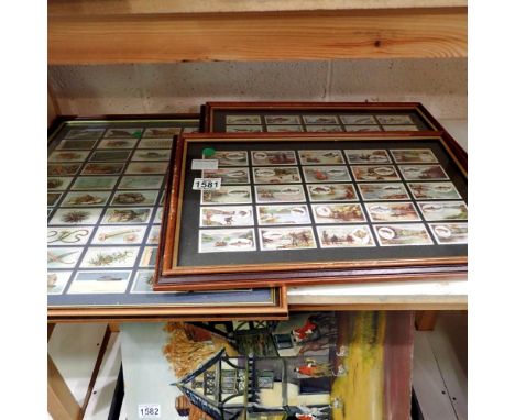 Three framed collections of tea cards with an angling theme. Not available for in-house P&amp;P 