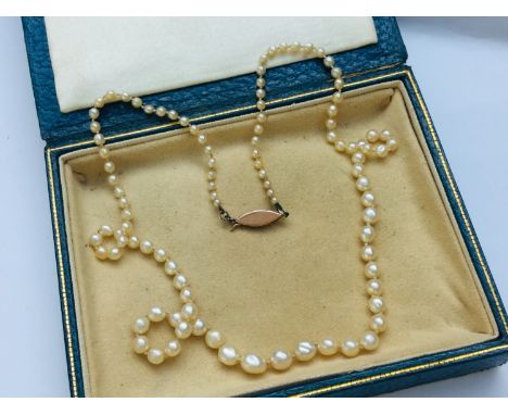 A lady's pearl necklace, graduated pearls from 7mm to 2mm, gold clasp with faceted sapphire, pearls individually knotted, in 
