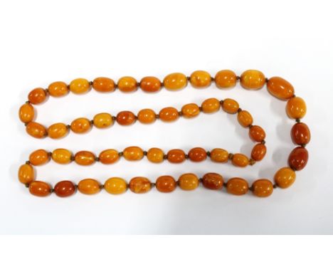 A strand of vintage butterscotch amber beads, largest bead 1.7cm