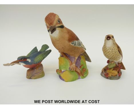 Royal Worcester Jay model 3248 and two other Royal Worcester birds 