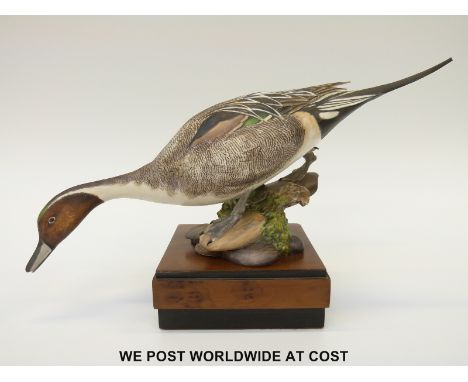 Royal Worcester porcelain figure of an American Pintail, with plinth (20cm tall)