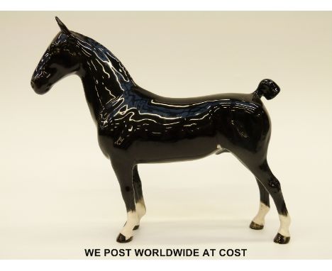 Beswick Hackney CH Black Magic of Nork