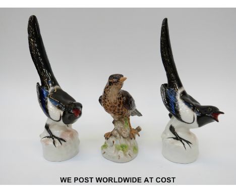 A pair of USSR / Lomonosov magpies (26cm tall) and a model of a thrush marked R to base