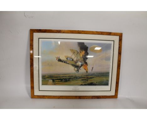 A FRAMED AND GLAZED LIMITED EDITION PRINT BY ROBERT TAYLOR 'BALLOON BUSTER' SIGNED BY FIRST WORLD WAR PILOT FLIGHT LIEUTENANT