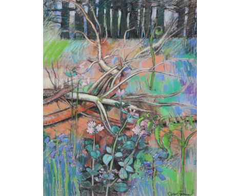 Claire Spencer, RBSA (b.1937) - 'The Secret Bluebells', pastel drawing, signed, framed, 72cm x 53cm