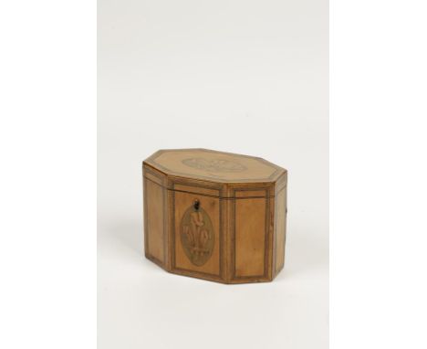 A GEORGE III SATINWOOD AND MARQUETRY TEA CADDY, of extended octagonal form, the lid and front inlaid with Prince of Wales fea