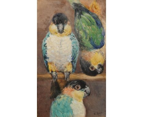 O BODÉ, THREE PARROTS IN VARIOUS POSES, bodycolour, signed and dated 1897, 25cm x 16cm together with a nude portrait of a gir