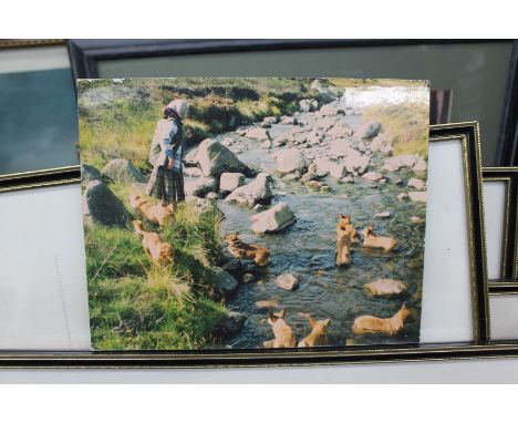 A MIXED QUANTITY OF VARIOUS DECORATIVE PICTURES AND PRINTS to include photographs of spitfire, a portrait of a black labrador