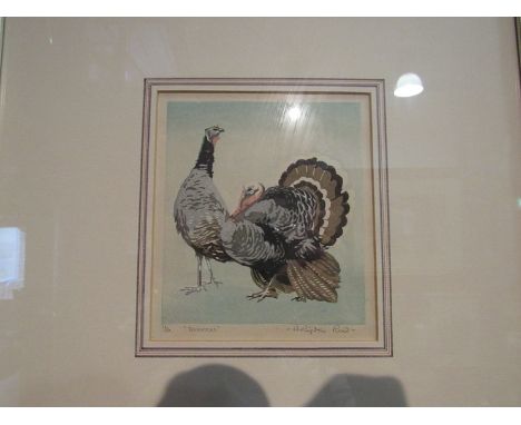 ARTHUR RIDGEN READ (1879-1955) A framed and glazed woodcut print titled 'Turkeys'. Pencil signed and No.36/50. Image size 13.