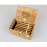 Habanos Cigars, wohl Cohiba Siglo III