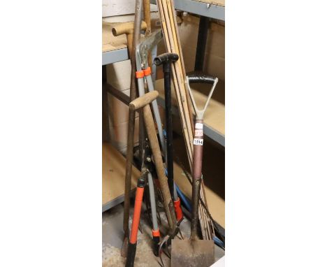 Selection of various garden tools to include forks, spades, saws etc. Not available for in-house P&amp;P, contact Paul O'Hea 