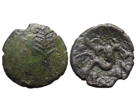 Dobunni Tribal Tree bronze core stater. Circa 1st century BC. Tree symbol on plain field. R. Triple-tailed horse right, chari