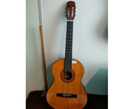 Hohner HC06 acoustic guitar. 