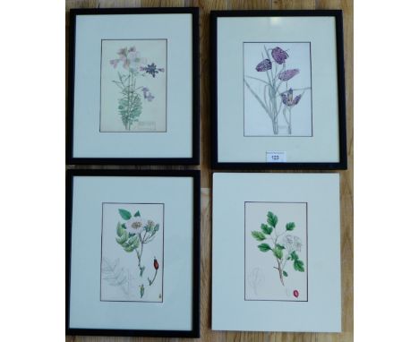 Four Botanical prints (4)