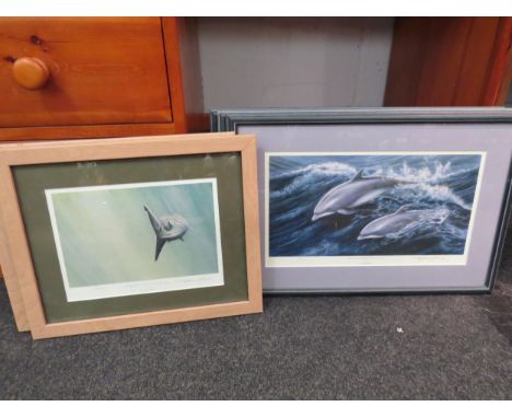 Six framed and glazed Jeremy Paul pencil signed limited edition prints of basking sharks, dolphins and whales 