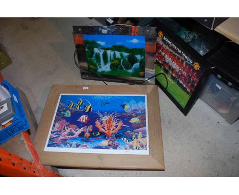 A large pine framed fish picture, Man. United print and an illuminated picture