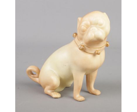 A Royal Worcester figure of a seated Pug. Dated 1925.  Slight wear to gilt on collar.