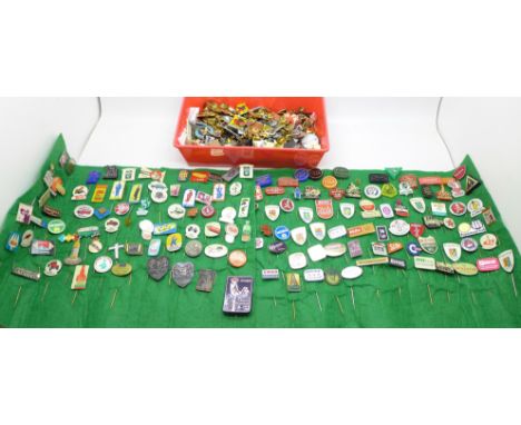 A collection of enamel and other pin badges 