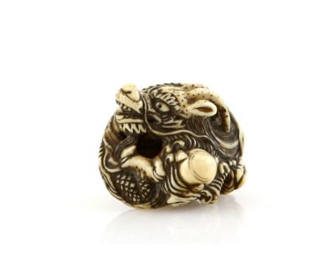 A small ivory netsuke of a coiled dragon, 19th CenturyProvenance: The Property of a Lady. From a Private Collection acquired 