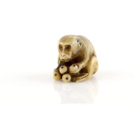 A stained ivory netsuke carved as a seated Japanese Macaque Monkey, un-signed, 19th CenturyProvenance: The Property of a Lady