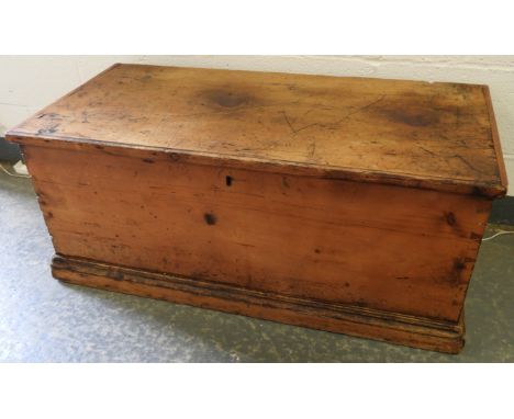 PINE TRUNK