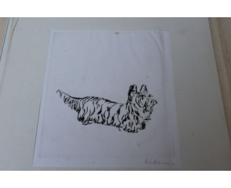 RENÉE SINTENIS, TIERE, A folio of twelve signed lithograph/etchings