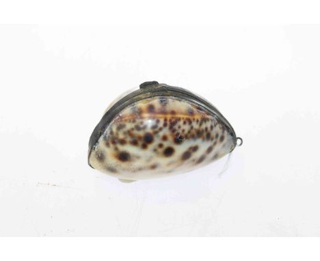 Shell snuff box